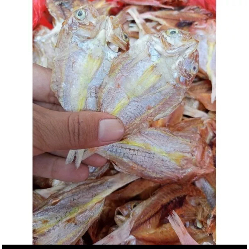 

ikan kuningan asin rembang super 500gr