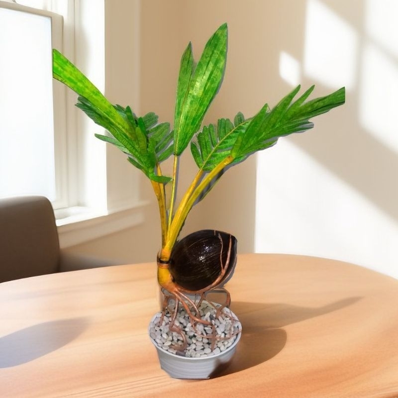 Tanaman Hias Bonsai Kelapa Handmade Artificial Unik - Tanaman Plastik Estetik - Dekorasi Meja & Rak 