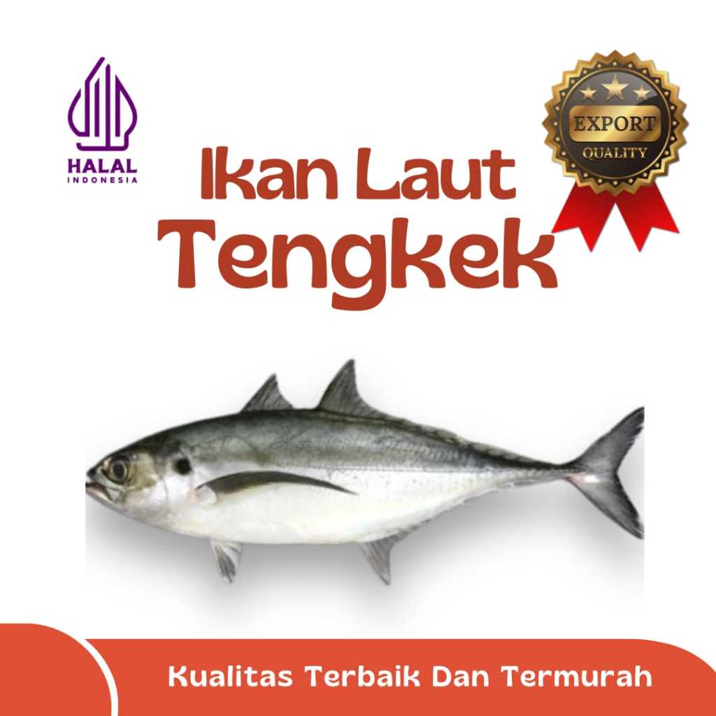 

IKAN TENGKEK / IKAN SELAR / IKAN LAUT EKSPOR QUALITY