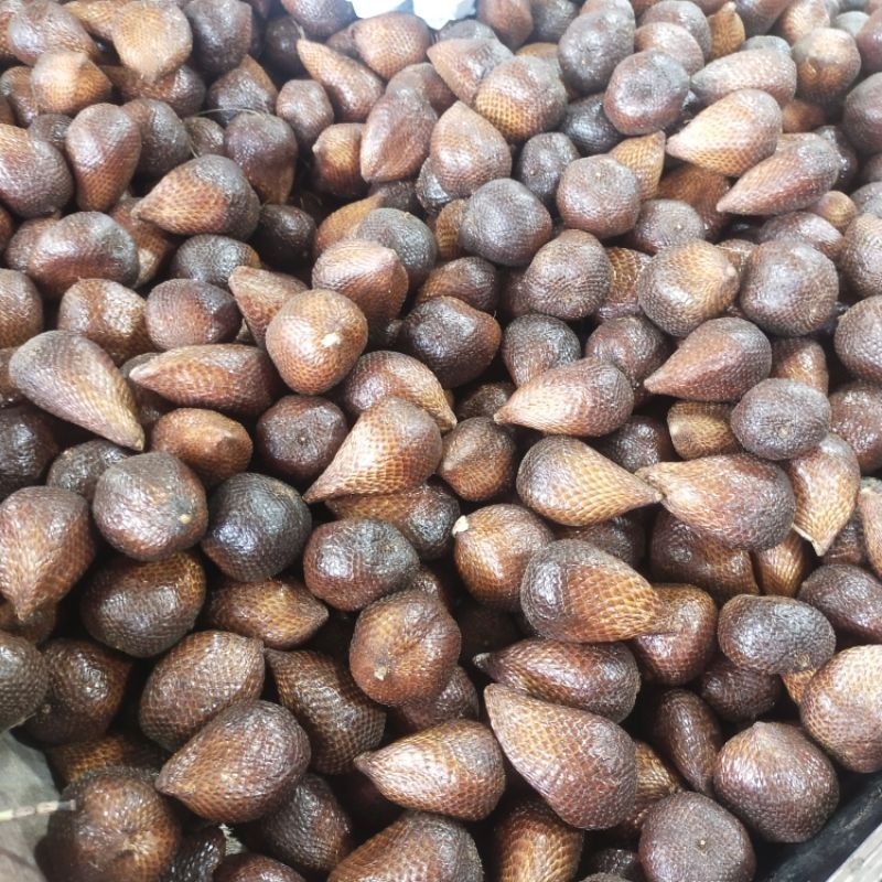 

Buah Salak Pondoh/sleman