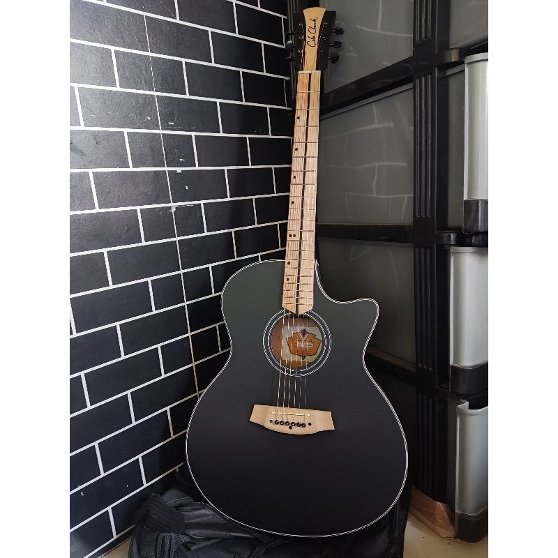 Gitar Cole Clark