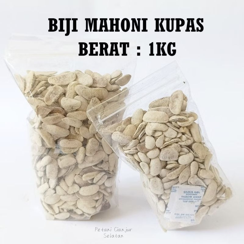 

Biji Mahoni Kupas Kemasan 1kg | Xiang Tian Guo / Sky Fruits Herbal Obat Kolesterol