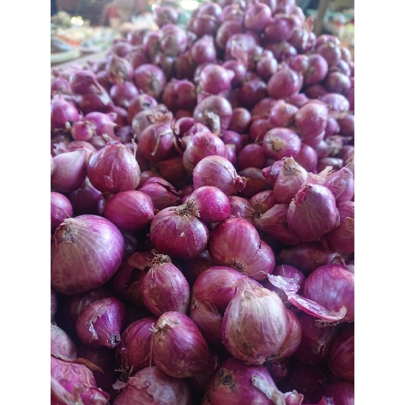 

Bawang bima