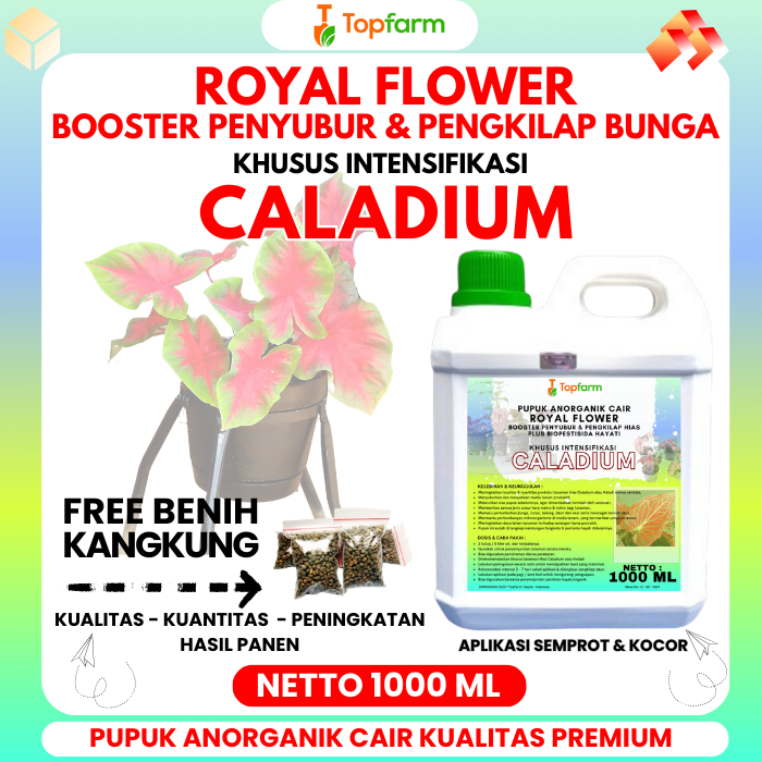 Pupuk Topfarm / Pupuk Tanaman Keladi / Pupuk Tanaman Hias Keladi Kris Papua / Pupuk Bunga Dan Tanama