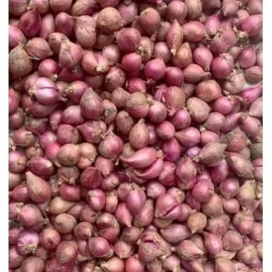 

BAWANG MERAH/BAWANG MERAH BESAR/BAWANG MERAH SEDANG/BAWANG MERAH 1/4(250g),1/2(500g),1kg/BAWANG MERAH SEGAR/BUMBU DAPUR/BUMBU MASAKAN/BAWANG MERAH FRESH/BAWANG MERAH MURAH/BAWANG MERAH MURAH MERIAH