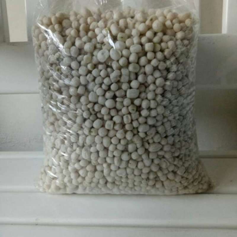 

Termurah Pilus Cikur Ukuran 1 kg Termurah