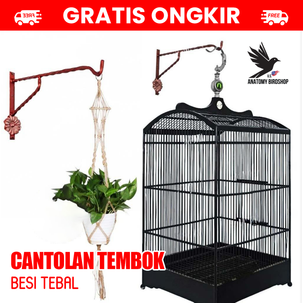 ANATOMY BIRDSHOP - Gantungan Besi Ulir Sangkar Burung 40 cm - Cantolan Sangkar Kandang Burung Murai 