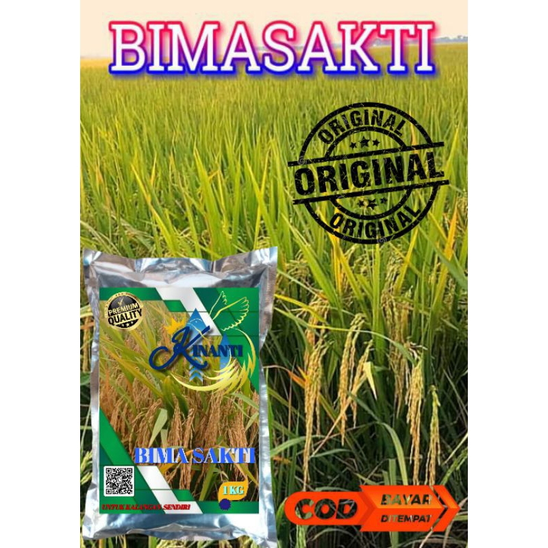 BENIH PADI BIMA SAKTI PREMIUM 1KG