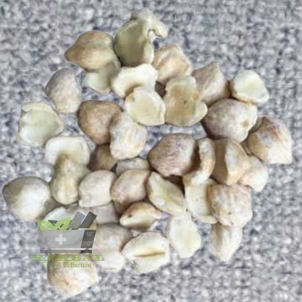 

Kemiri Rempah MUNCANG Kupas Per Bungkus 100 gram