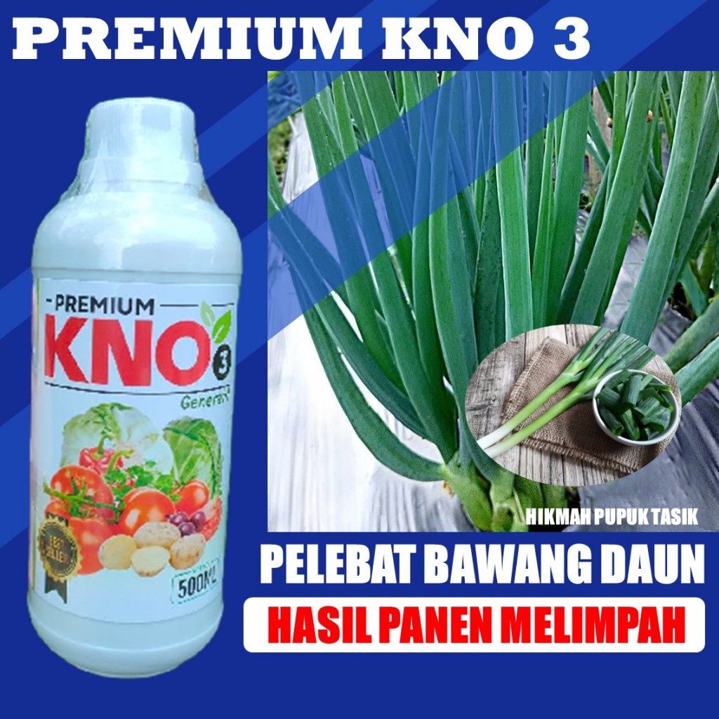 OBAT PELEBAT BAWANG DAUN KNO3 500 ML Obat Pelebat Buah Bawang Daun - Obat Pemacu Pembuahan Bawang Da