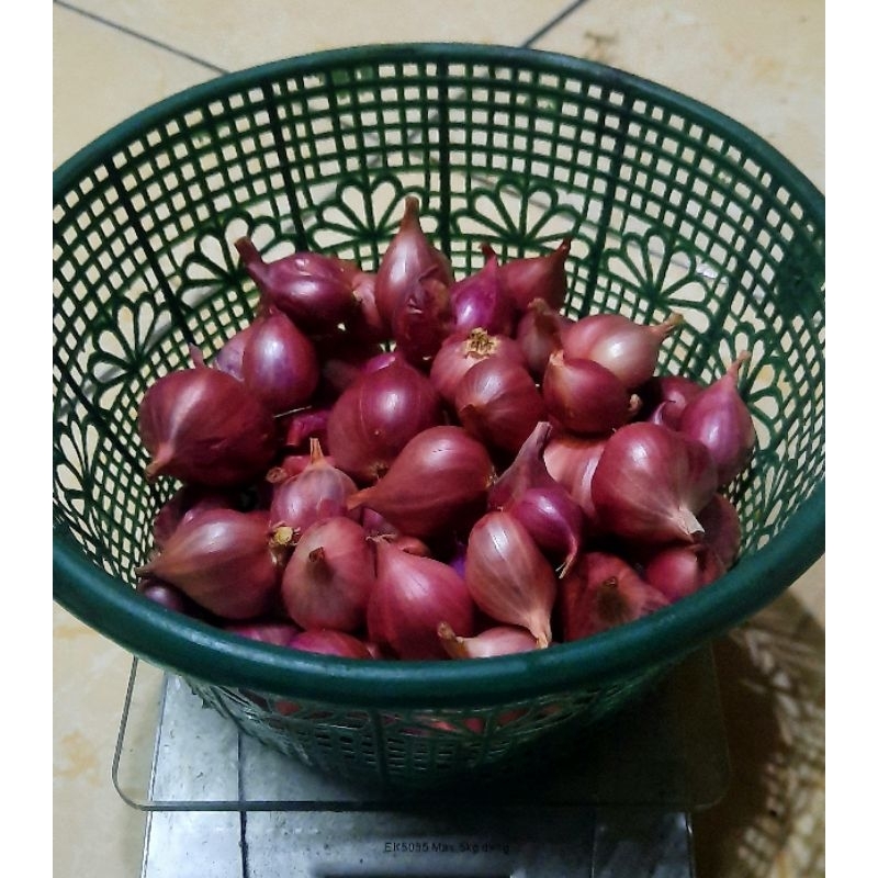 

Bawang merah super