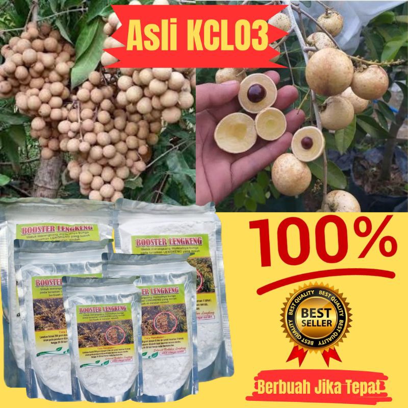 GARANSI ASLI.. Booster Kelengkeng Asli, Booster Kelengkeng Murni