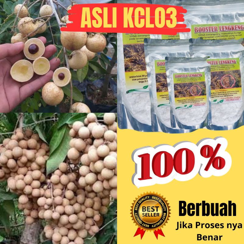 PROMO.. Booster Kelengkeng, Booster Kelengkeng Cepat Berbuah, Booster Kelengkeng kclo3 Murni, Booste