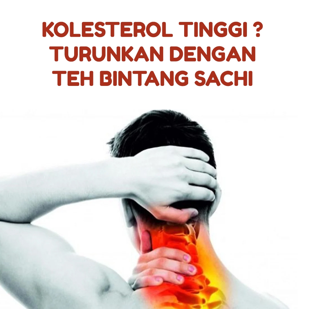 

Minuman Teh Herbal Penurun Kolesterol