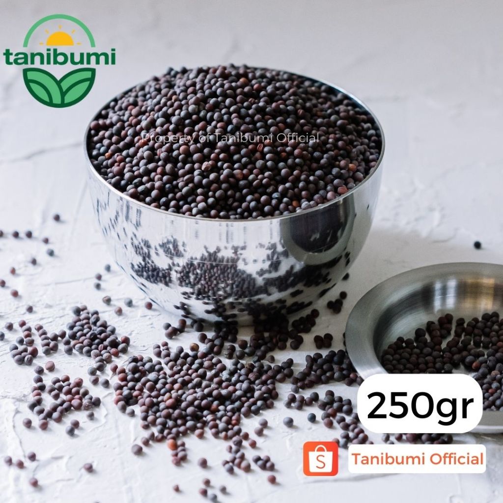 

250g | Termurah Black Mustard Seed Import | Biji Sawi / Sesawi / Moster Hitam