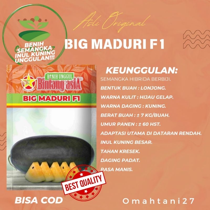 BIG MADURI f1/BENIH SEMANGKA/BENIH INUL/BENIH SEMANGKA KUNING/20 gram.