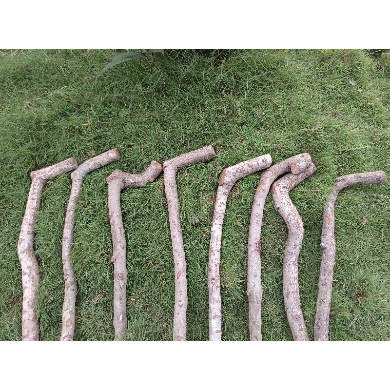 Aurabaik Tongkat Jalan Kayu Setigi Manual