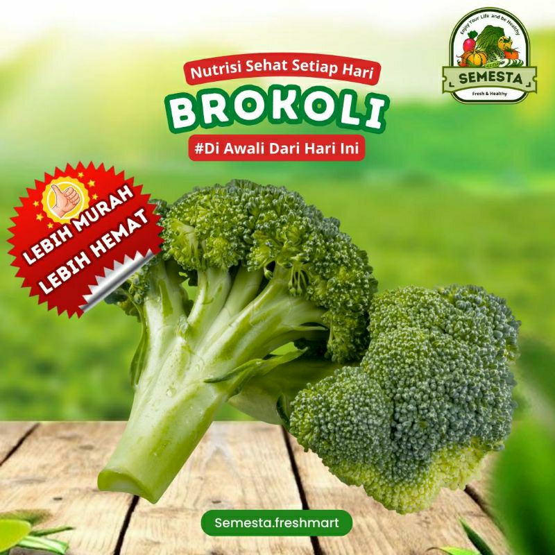 

BROKOLI 250 gram - Semesta.Fresmart