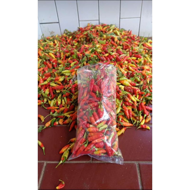 

cabai jablai pedas/ cabe rawit/ cengek 1kg