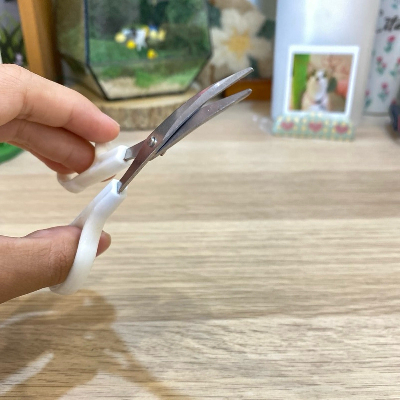 

GUNTING MELENGKUNG 12 CM