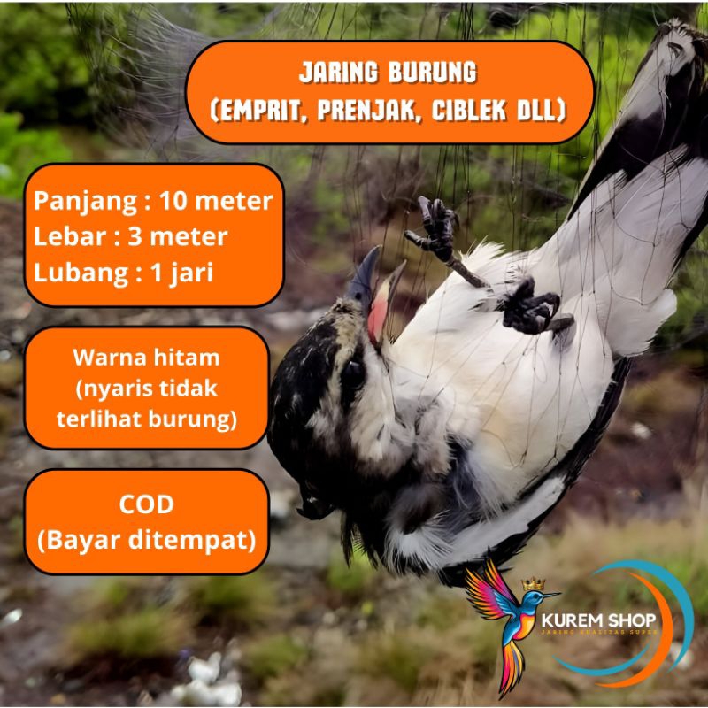 jaring burung pipit ciblek 10 meter