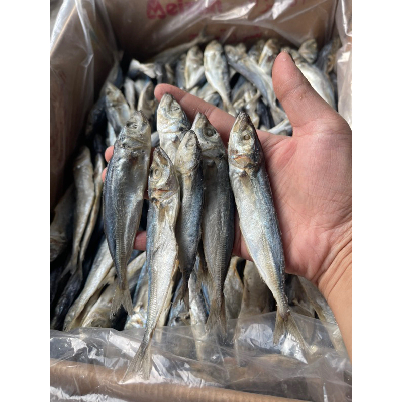 

Ikan asin layang asin 500gram