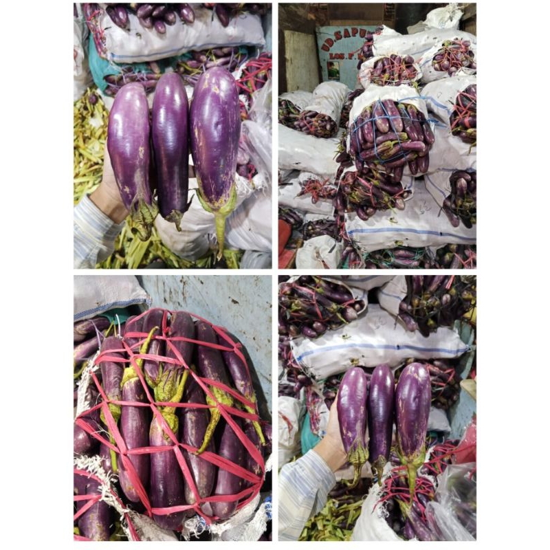 

(SUPER PROMO) Terong ungu 1kg