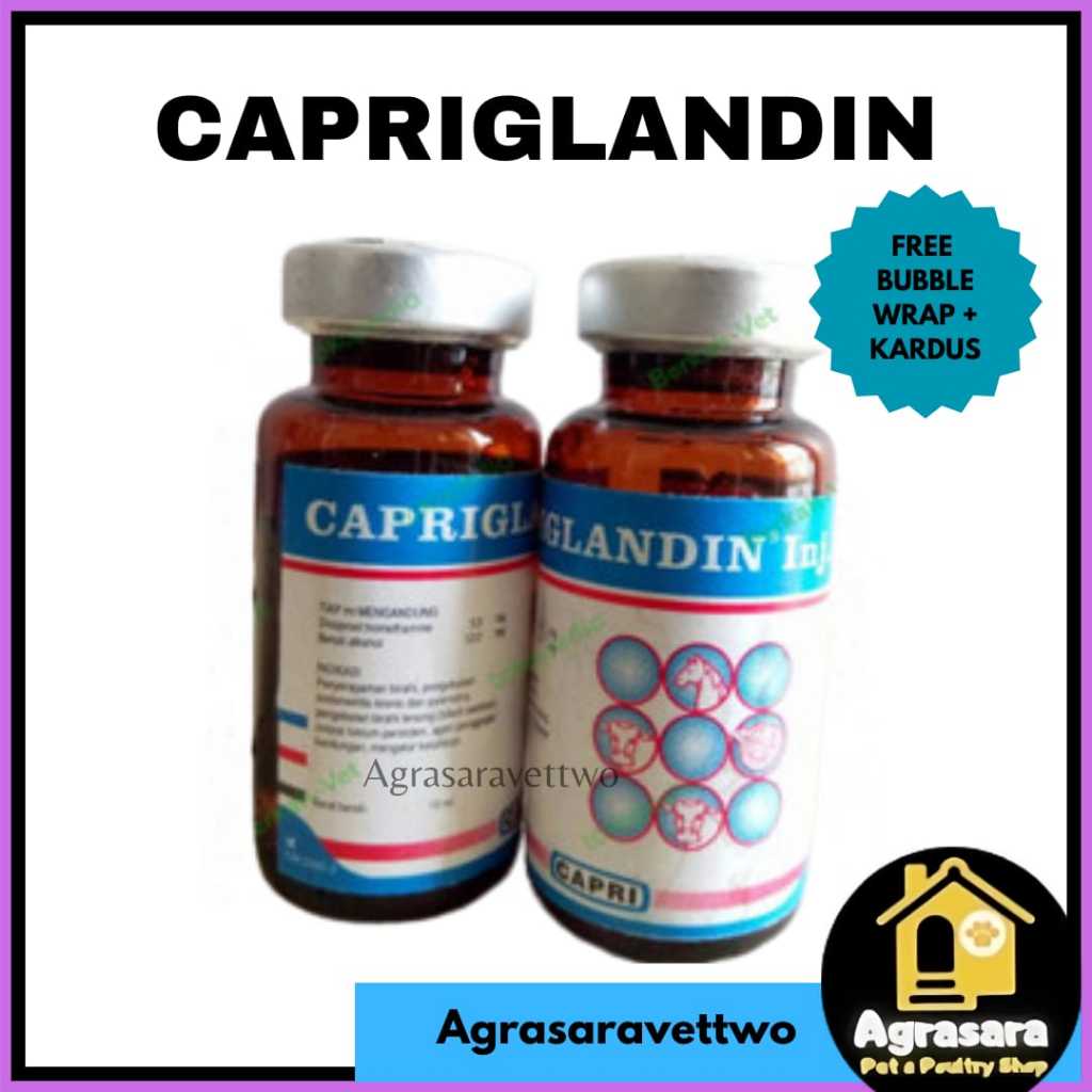 CAPRIGLANDIN INJ 10 ml (PGF) - Hormon Sinkronisasi Estrus Sapi Kambing Domba Kuda Babi