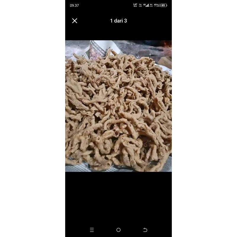 

usus crispi ayam bawang (500g)