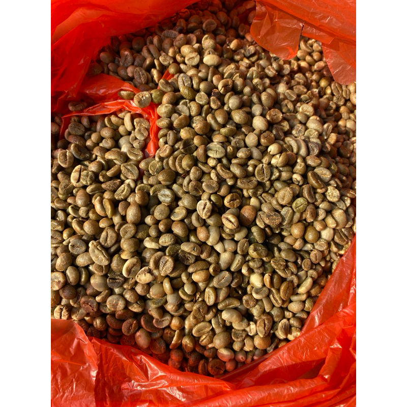 

BIJI KOPI ROBUSTA PAGARALAM