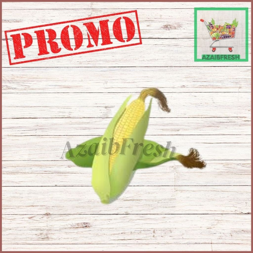 

Jagung Manis Kupas 1 PCS Sayuran Jgung Segar Jakarta