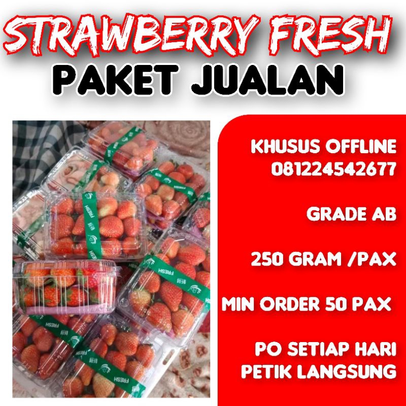 

[khusus of f l i ne] PAKET JUALAN 50 PAX STRAWBERRY FRESH PER 250GRAM GRADE AB BANDUNG MURAH GROSIR