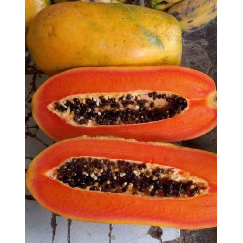 

Pepaya California per 1 Kg