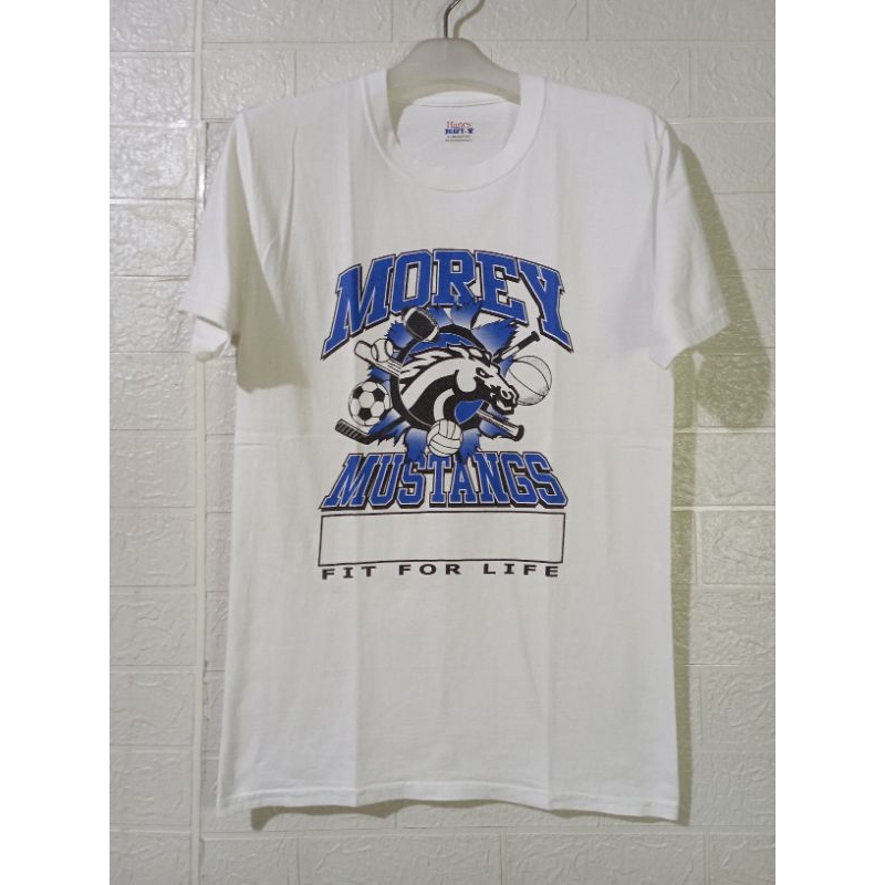 Kaos Hanes beefy second (98 x 70)