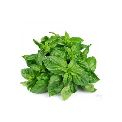 

Daun kemangi