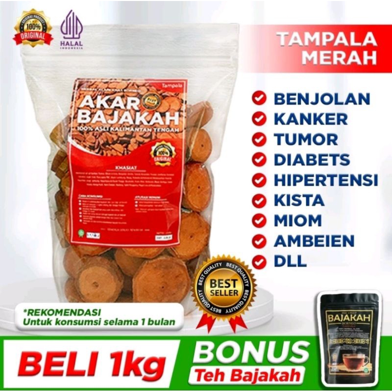 

Akar Bajakah Merah Asli Kalimantan untuk Kanker dan Tumor kualitas Super 1kg Free teh isi 10