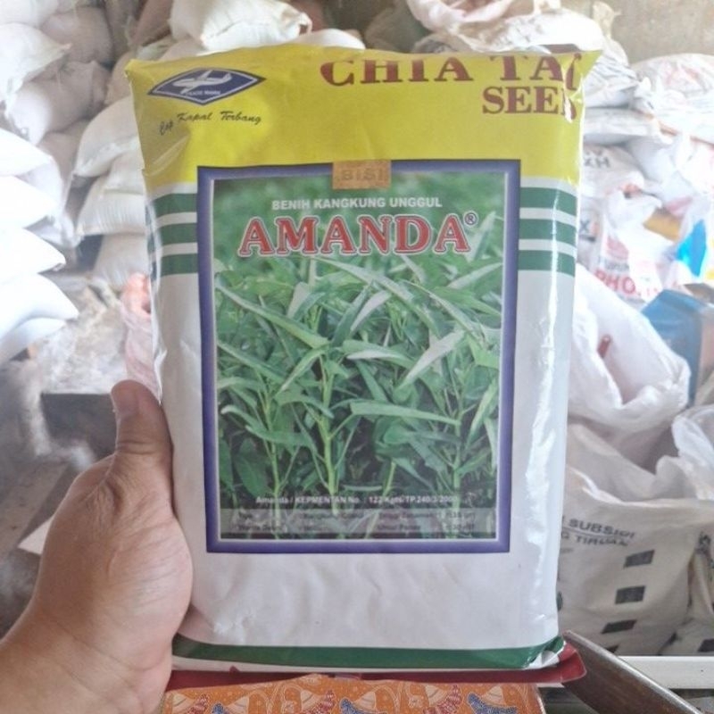 Benih Kangkung AMANDA 1KG