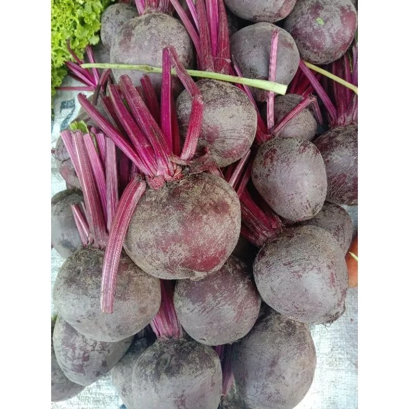 

Buah Bit Berastagi Fresh