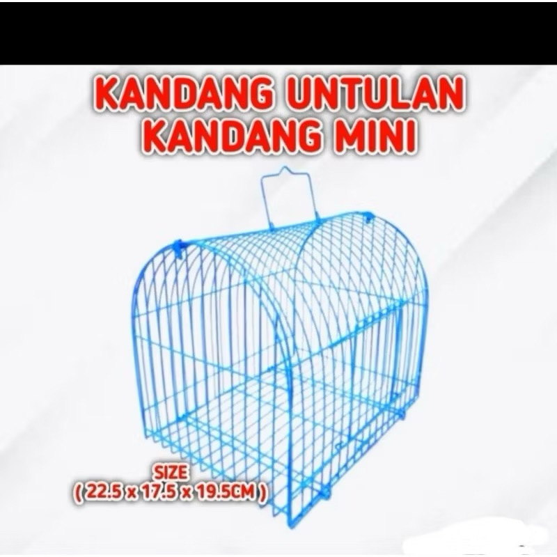 KANDANG UNTULAN KANDANG KECIL  KANDANG BESI KECIL  KANDANG UNTUL  KANDANG LOVEBIRD KANDANG