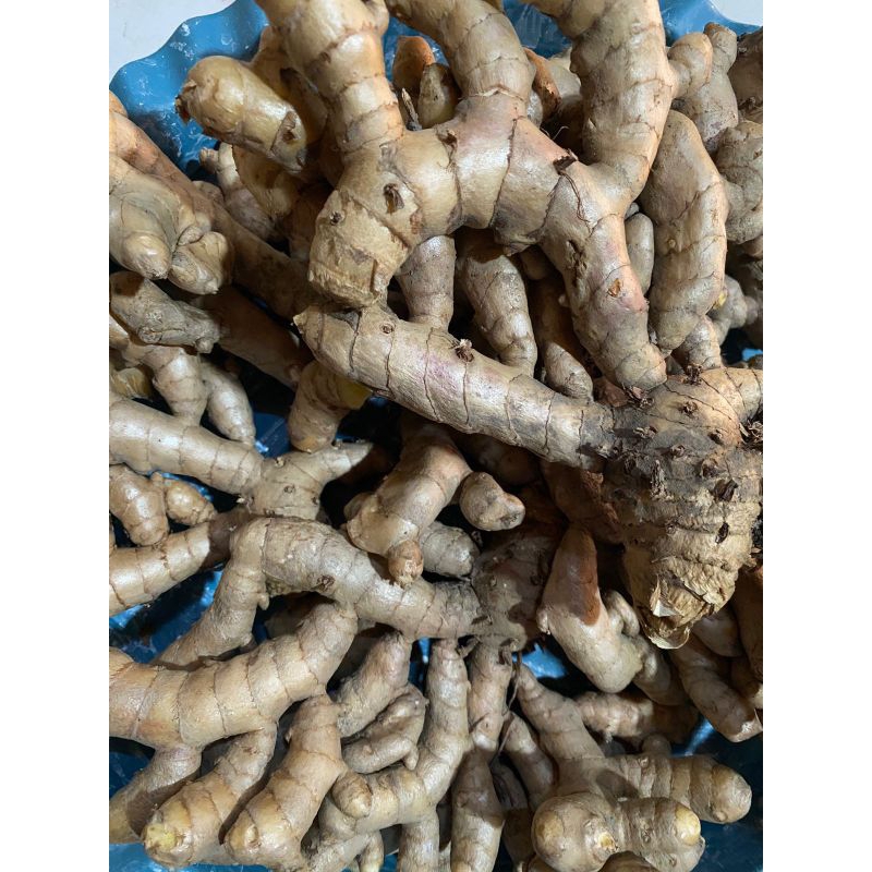 

Ready kunyit putih 500gram kunyit putih berkualitas kunyit putih murah