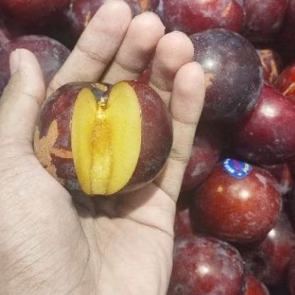 

BUAH PLUM BLACK RRC SUPER FRESH 500 GRAM
