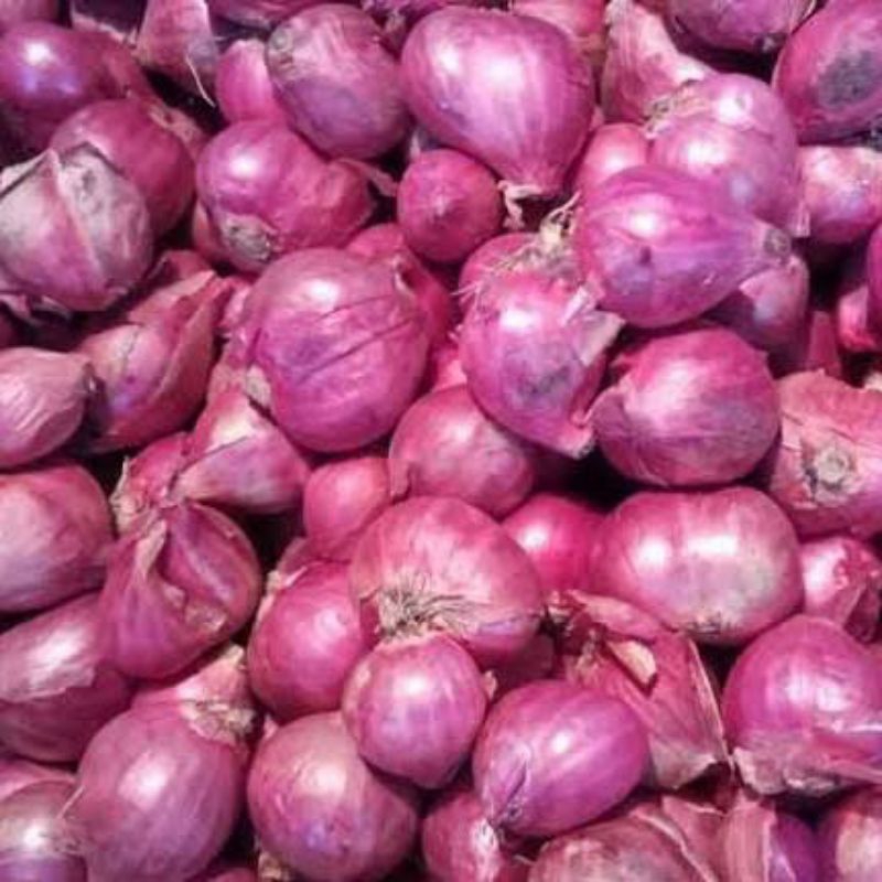 

Bawang Merah Super per Kg Murah Harga Petani