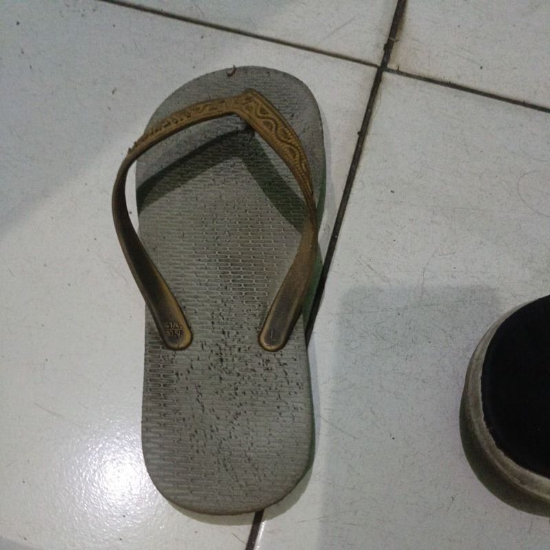 sandal swallow second