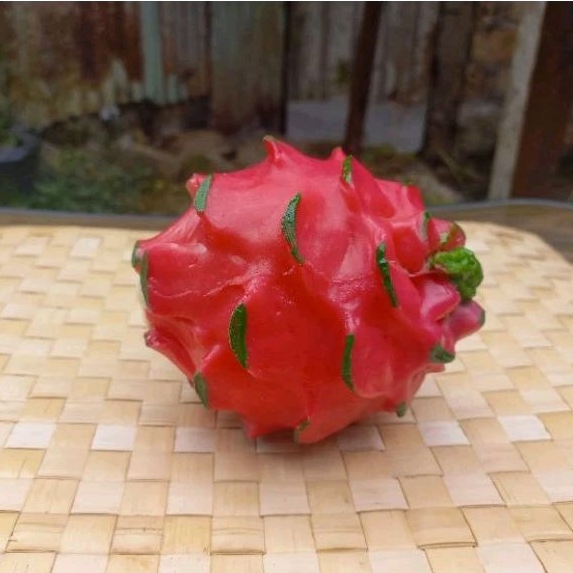 

Replika Buah Naga 1pcs/ Replika Buah-buahan/ Replika sayuran