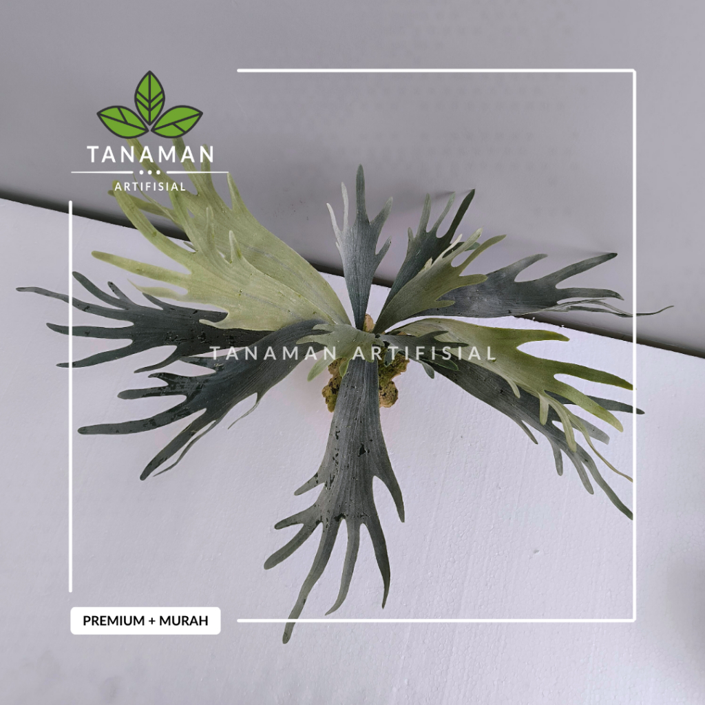 Tanaman Hias Artifisial Pohon Juntai Tanduk Rusa Bahan Plastik + Latex Premium + 12 Cabang Daun