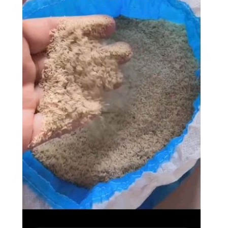 

telur jangkrik alam kemasan 500gr berkualitas super.tua/muda