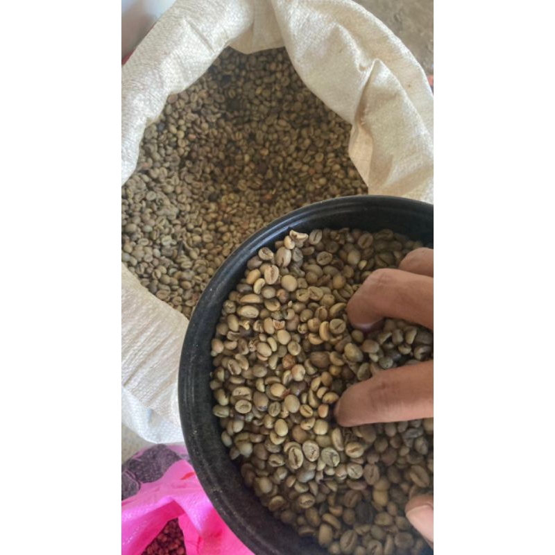 Kopi Robusta Green Bean