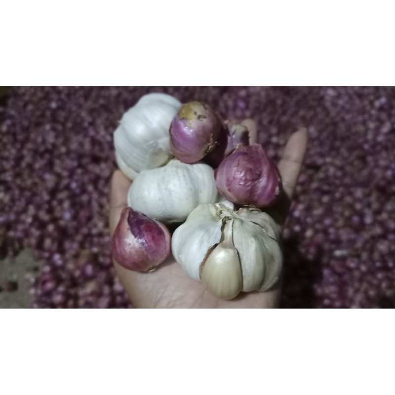 

Bawang Putih Campur Bawang Merah 1kg