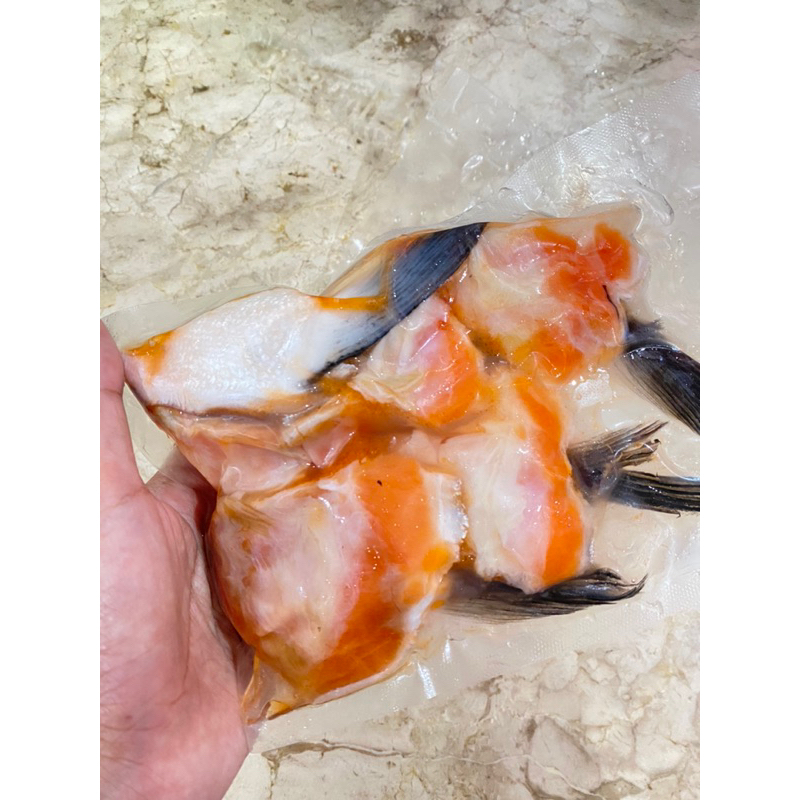 

[WINFISH] RAHANG SALMON-250gr
