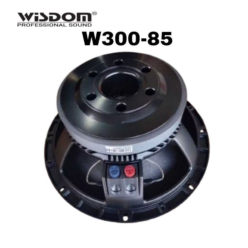 Speaker 12in WISDOM W300-85 / Wisdom W300 85